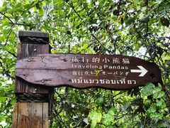 -野象谷景区
