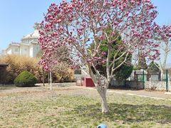 -中华石雕艺术园