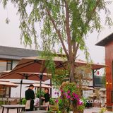 悠闲午后的秘密花园，Tea & Mojito
