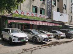 -大自然美食农庄(广州南站店)