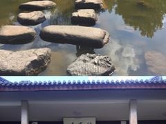 -溪口-滕头旅游景区