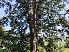 -终南山南五台景区