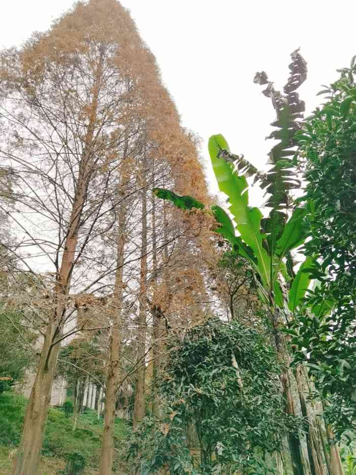 成都煙霞湖風景區-