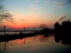 -合肥滨湖国家森林公园