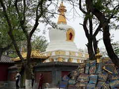 -护国法轮寺