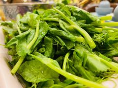 豌豆尖-小街猪手(团结湖店)