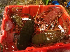 -79号渔船海鲜饭店(华强北店)