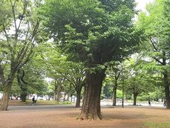 -东京国立博物馆