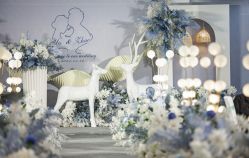 -艾米婚纱&婚礼策划