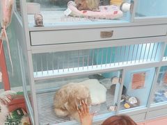 -FAELING PETS美天灵宠物(合生汇店)