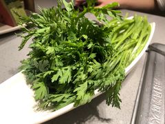 -海底捞火锅(金光华店)