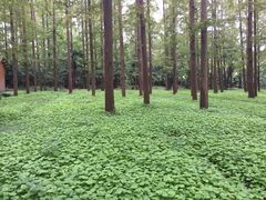 老范农家乐-上海老范农家乐(崇明前卫村店)