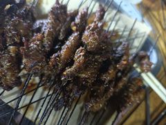 -老白家怡贵园烤肉