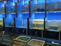 -金龙·打边炉(武进路店)