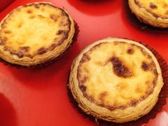 -顺风山庄(水濂山店)