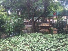 -揭东万竹园旅游景区