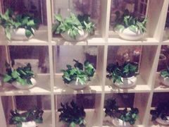 -正清和·推拿养生(黑石礁中心店)