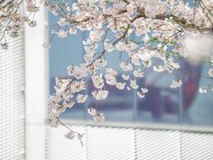 -龙美术馆(西岸馆)