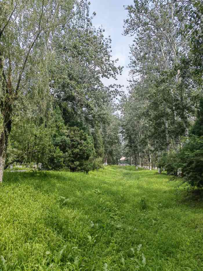 金田公园-"先说结论,公园不大,如果图景色就不用去了.