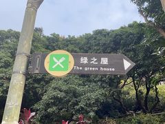 -青青世界