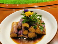 -老阿妈蒙古村·蒙古包·草原文化·歌舞表演(老君堂店)