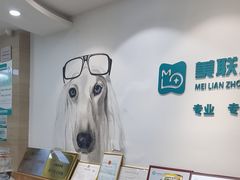-美联众合动物医院·24h转诊中心