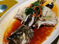 清蒸桂花鲈-娱筷海鲜酒家(广州南沙店)