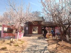 -桃花堤公园