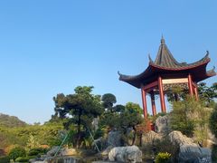 -东莞植物园