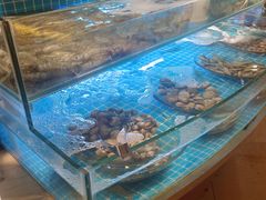 -上海神旺大酒店