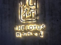 -几荷·恰似故人来(秀水广场店)