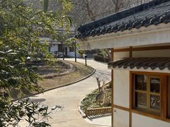 -禅宗少林·音乐大典