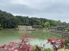 -铁山坪森林公园