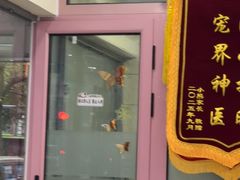 -全心全意连锁动物医院·微创中心·内科急重症·心脏专科(丰管路店)