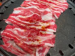 -杨记齐齐哈尔烤肉(总店)
