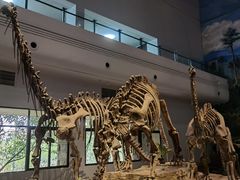 -自贡恐龙博物馆