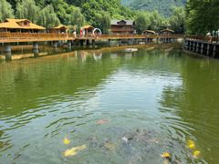 -参仙谷生态旅游度假区