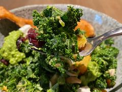 -Wagas沃歌斯(大学路店)