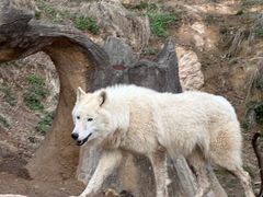 -杭州野生动物世界
