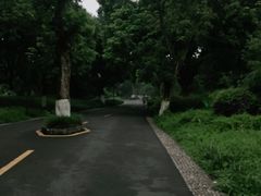 -张坝桂圆林公园
