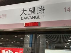 -大望路(地铁站)