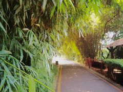 -贵阳市花溪国家城市湿地公园