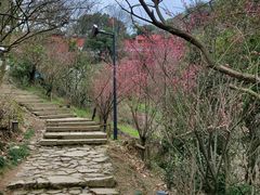 -南北湖风景区