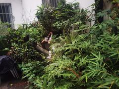 -家烧面馆【南山路知名经典面食】