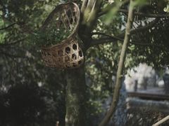 -都江堰普照寺