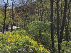 -碓臼峪自然风景区