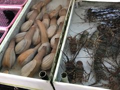 -南沙十九涌渔人码头-南门