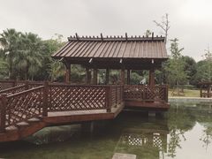 -浦鸿会游泳健身中心·Ambassy Club PD(金桥碧云国际社区店)