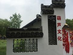 -溱湖国家湿地公园