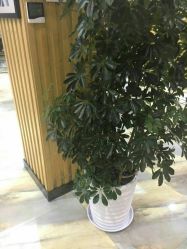 -永琪美容美发全国直营连锁